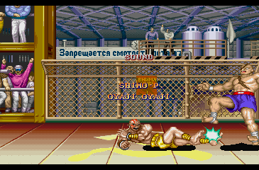street_fighter_2_ce_-_finale_-_192.png