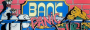 nuove:bankp1.png