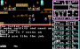 progetto_rpg:magic_candle:ibm_pc:screens:magic_candle_dos_60.png