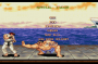 archivio_dvg_07:street_fighter_2_ce_-_finale_-_21.png
