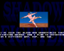archivio_dvg_08:shadow_fighter_-_finale_-_soria.png