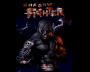 archivio_dvg_08:shadow_fighter_-_titolo.png