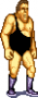 archivio_dvg_08:wwfss_-_boss_-_andre.png