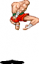 archivio_dvg_07:street_fighter_2_ce_-_sagat4a.png