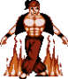 archivio_dvg_08:shadow_fighter_-_fakir_-_mystery_fire.png