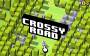 archivio_dvg_11:frogger_-_crossy_road_-_android_-_01.jpg