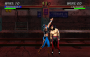 archivio_dvg_08:mk3_-_fatality1a_-_nightwolf.png