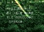 archivio_dvg_09:night_slasher_-_into_jap_-_03.png