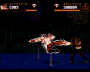 archivio_dvg_08:shadow_fighter_-_finale_-_ultimo_match_hard.png