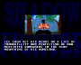 archivio_dvg_08:shadow_fighter_-_finale_-_lee_chen.png