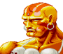 archivio_dvg_07:ssf2t_-_ritratto_-_dhalsim2.png