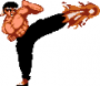 archivio_dvg_08:shadow_fighter_-_lee_chen_-_fury_kick.png