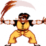 archivio_dvg_08:shadow_fighter_-_toshio_-_circle_of_fire.png