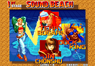 real_bout_fatal_fury_-_versus.png