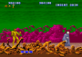 archivio_dvg_03:altered_beast_-_finale_-_01.png