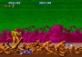 archivio_dvg_03:altered_beast_-_finale_-_02.png