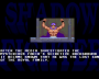 archivio_dvg_08:shadow_fighter_-_finale_-_fakir.png