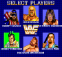 dicembre09:wwf_superstars_select.png