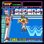 dicembre09:wwf_superstars_0000.png