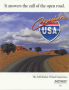 marzo10:cruis_n_usa_flyer.png