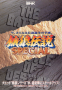 marzo11:fatal_fury_special_-_flyer.png